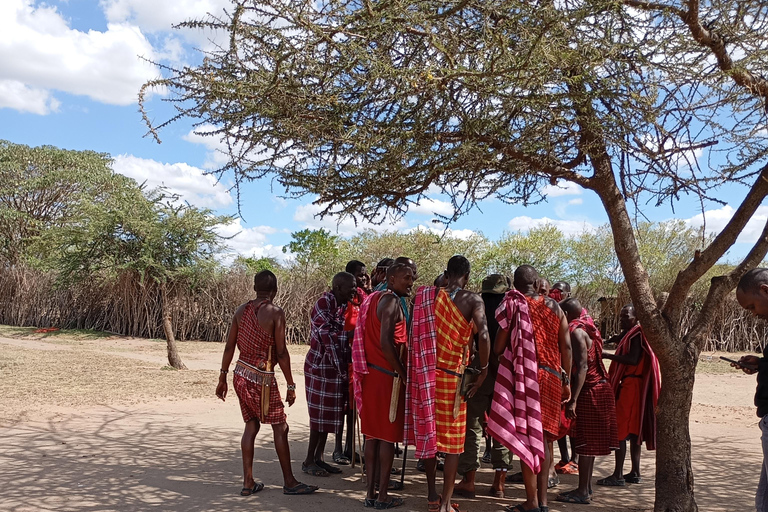 Nairobi: Escursione di un giorno al Parco Nazionale di Amboseli con pranzoEscursione di un giorno al Parco Nazionale di Amboseli da Nairobi