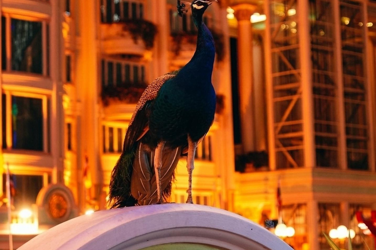 Pattaya: Guided Shared Small Group City Tour