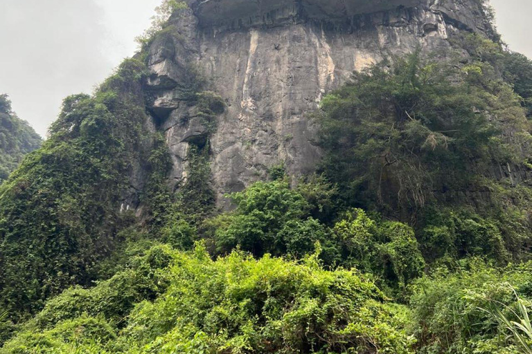 Depuis Hanoi : Ninh Binh - Trang An - Grottes de Mua - Déjeuner et busAu départ de Hanoi : Découvrez la beauté de Ninh Binh - Excursion d&#039;une journée