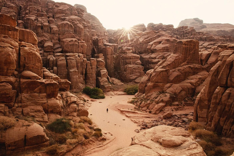 AlUla in a Day: Sharaan Reserve, Hiking & Hidden Gems