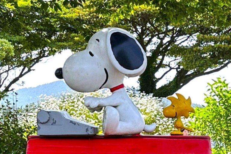 Jeju Trendy Café Tour including Snoopy Garden