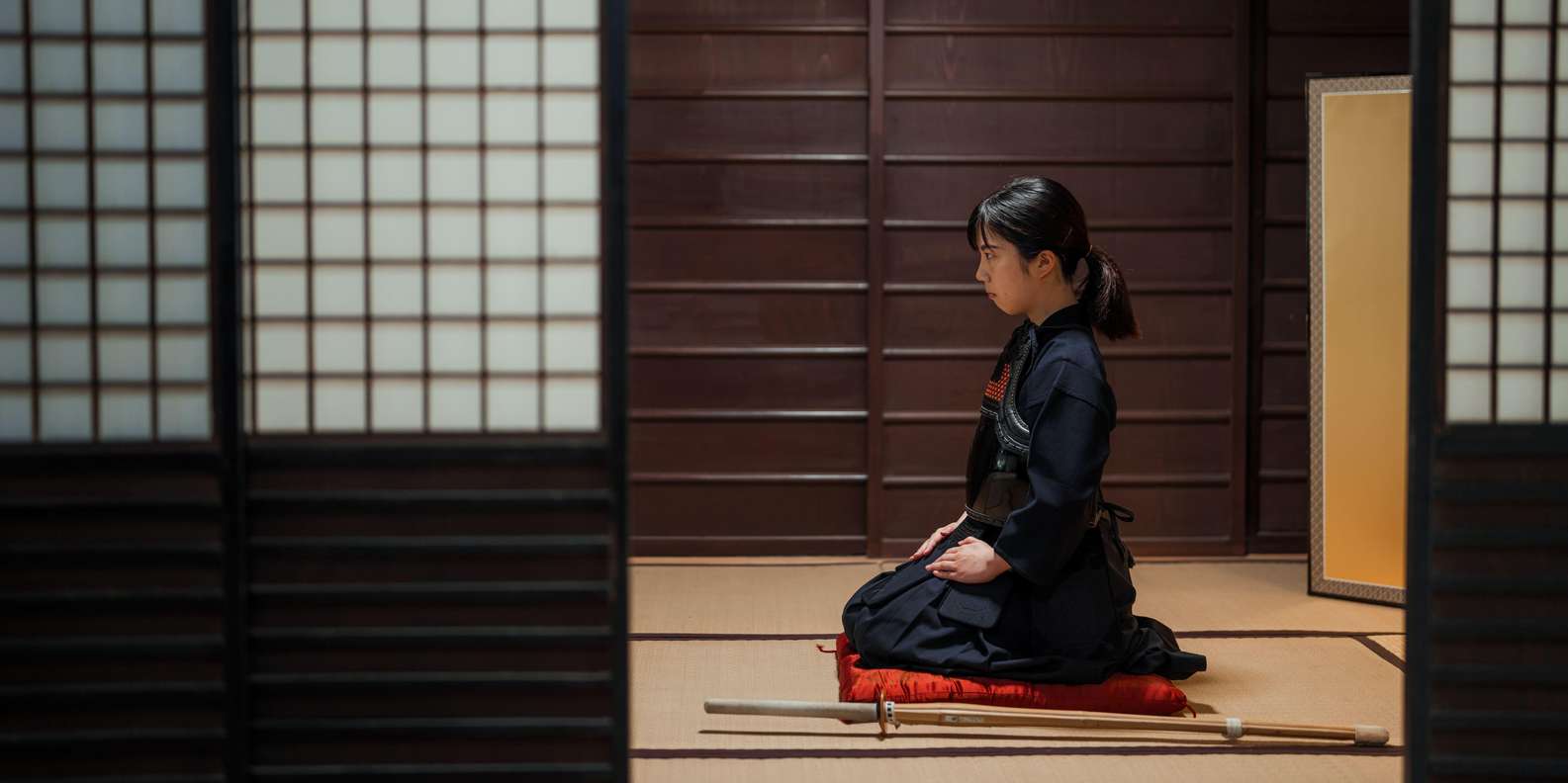 Kyoto experience — temples, geisha, bamboo grove — image 15