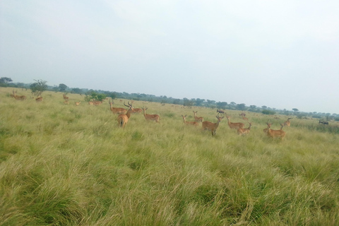 From Entebbe: 3-Day Jinja, Sipi Falls, and Nile River Tour
