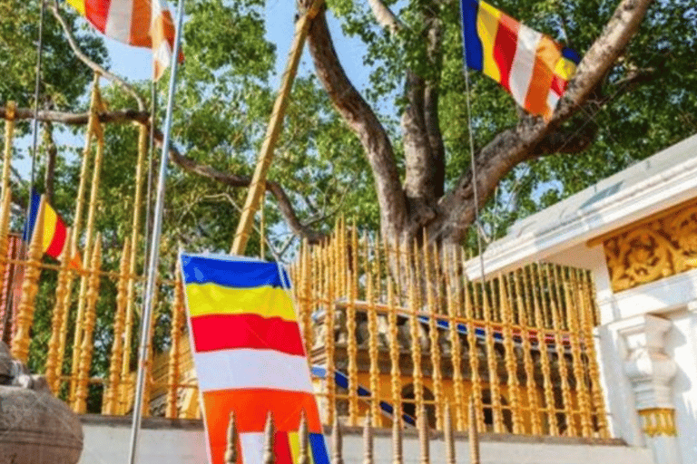 Anuradhapura: Tuk Tuk Tour with Temples & Hidden Stories Standard Package (Budget Option)