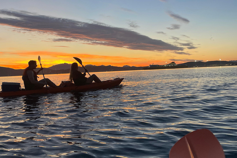 Golfo Aranci: Kayak Tour with Dolphins and Aperitif Morning Experience with Aperitif and Dolphins
