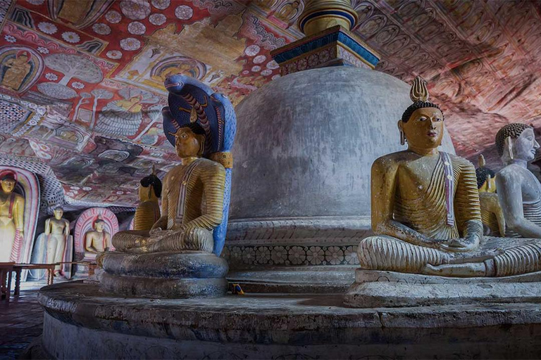 2-daagse culturele en wildlife-tour naar Sigiriya en Minneriya
