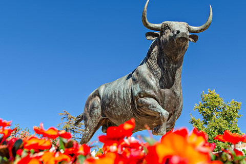 Depuis Malaga : Bus Tour à Ronda + LA Almazara EcoExperience Oleoturismo