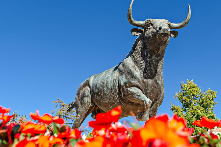 Depuis Malaga : Bus Tour à Ronda + LA Almazara EcoExperience Oleoturismo