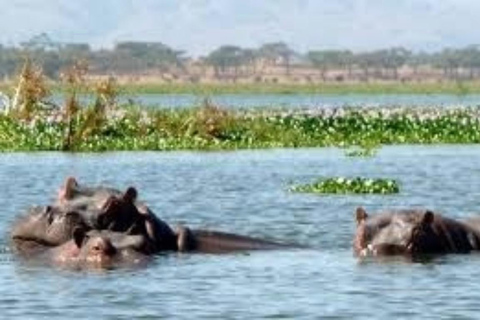 Hell's Gate National Park and Lake Naivasha Day Tour