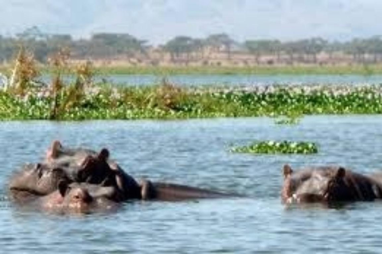 Hell's Gate National Park and Lake Naivasha Day Tour