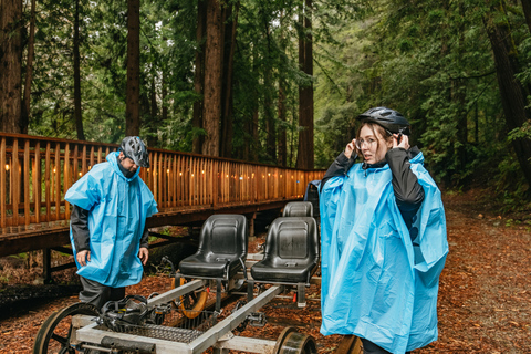 Mendocino County: Pudding Creek Railbikes