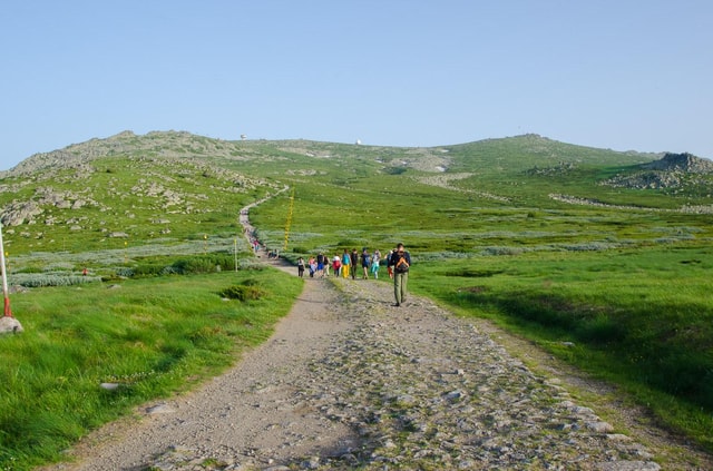 Vitosha guided Small group,Cherni Vruh day tour from Sofia