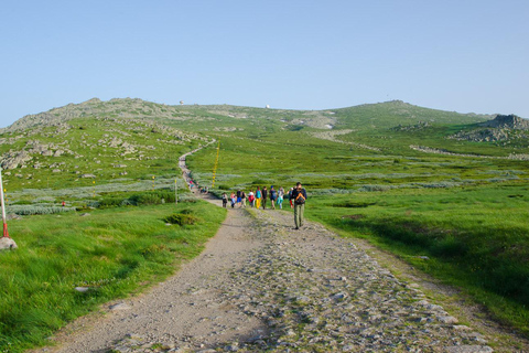 Vitosha rondleiding in kleine groep, Cherni Vruh dagtour vanuit SofiaVitosha rondleiding-Cherni Vruh een dagtour vanuit Sofia