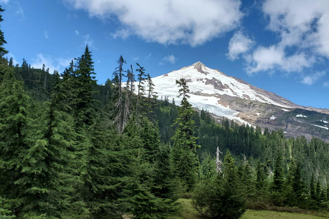 Seattle: Mt. Baker & North Cascades Full-Day Shared Tour