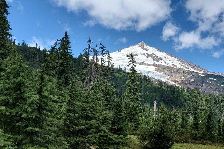 Seattle: Mt. Baker & North Cascades Full-Day Shared Tour