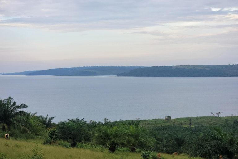 Ssese Islands 4-Day Cultural Tour and beer-making experience