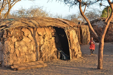 Desde Nairobi Excursión de un día completo a la Aldea Masai