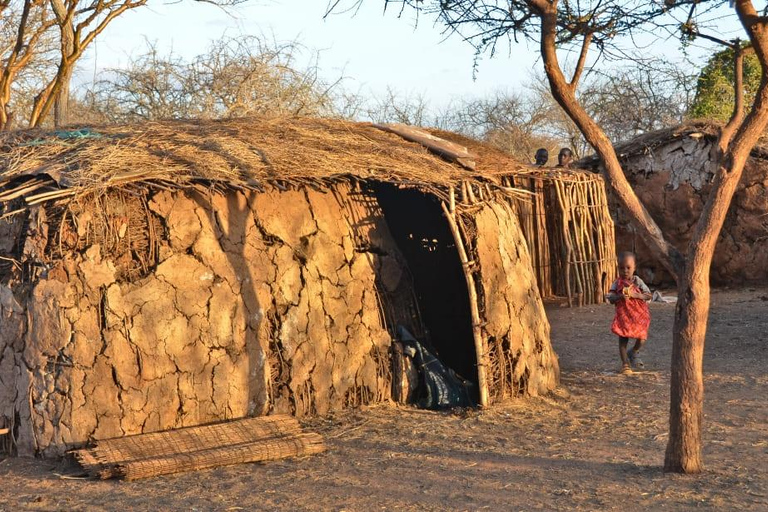 Desde Nairobi Excursión de un día completo a la Aldea Masai