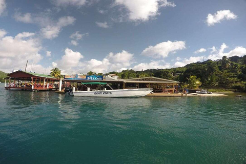 St. Lucia: Private Bootstour nach SoufriereHalbtags 25&#039; Schnellboot &quot;Israel King&quot;
