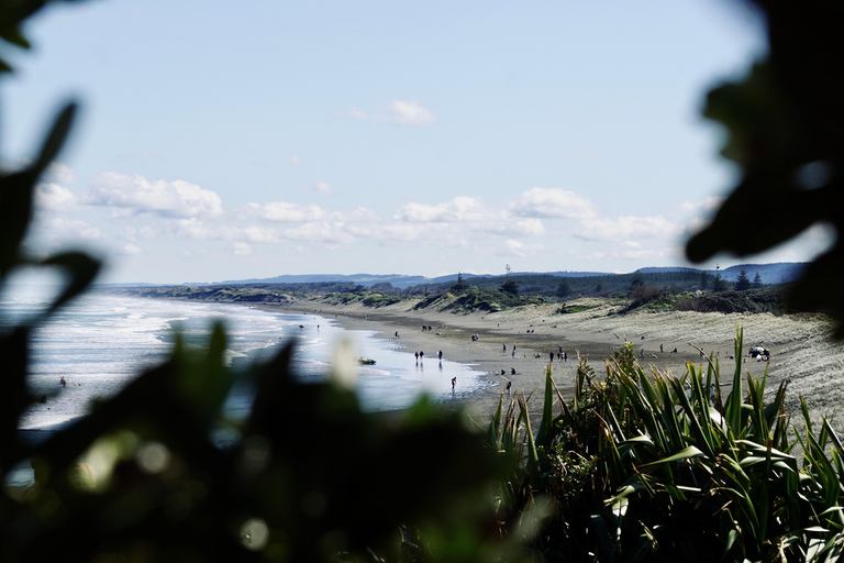 Auckland : Leçon de surf en groupe avec l&#039;école de surf Muriwai