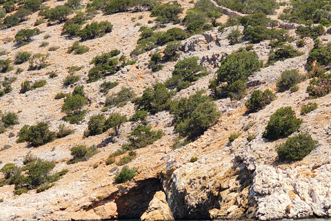 Naxos: South Coast of Naxos with BBQ Lunch