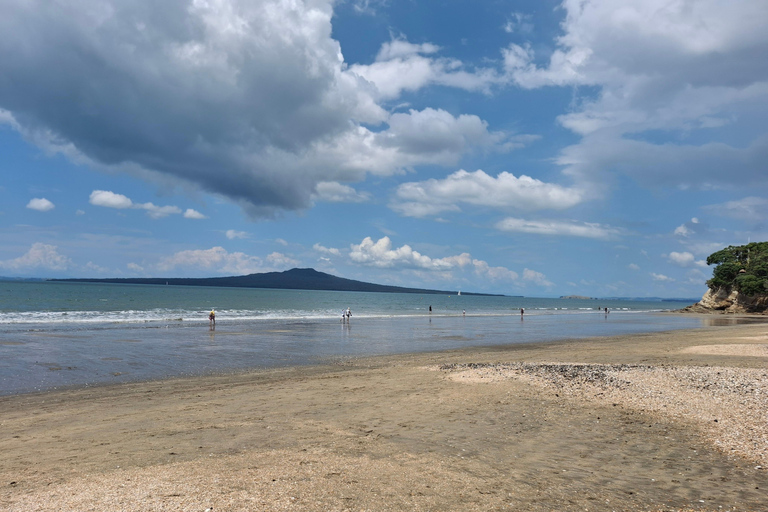 Auckland: Nature, Art, Seaside and Sugar Tour