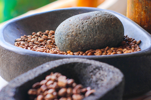 From Medellin: Coffee and Comuna 13 Tour with PRIVATE transportation From Medellin: Coffee Tour and Comuna 13 with PRIVATE transportation