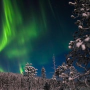 Ylläs : A la recherche d'aurores boréales