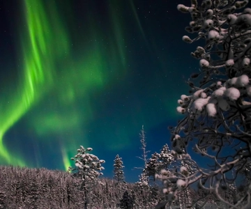 Ylläs: Seeking Northern Lights Photo Tour