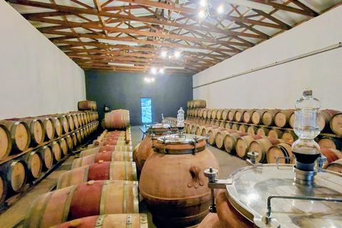 Cape Town: 2-Day Private Tour with Penguins, Safari & Wines
