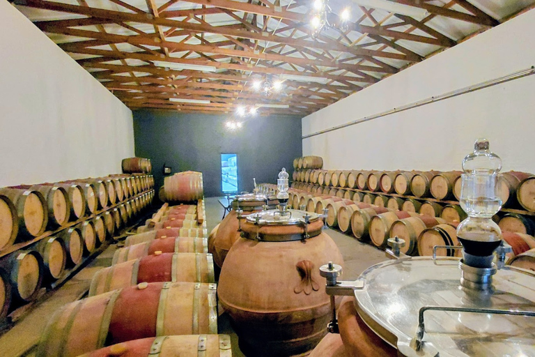 Cape Town: 2-Day Private Tour with Penguins, Safari & Wines
