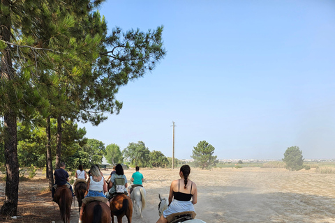 Passeios a cavalo na praia - PDTPasseios a cavalo na praia em grupo