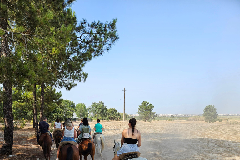 Reiten am Strand - PDTReiten am Strand in der Gruppe