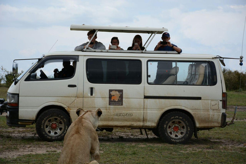 Tsavo Amboseli & Tsavo Expedition Safari Tour