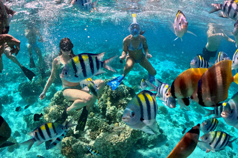 From Gili Meno: Private & Group Gili Islands Snorkeling 4-Hour Private Snorkeling Tour with GoPro Camera