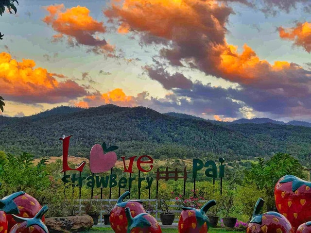 Chiang Mai: Pai Famous Attractions Day Trip with Guide