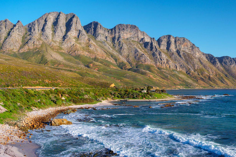 From Cape Town: Hermanus Whale Watching Full Day Tour default