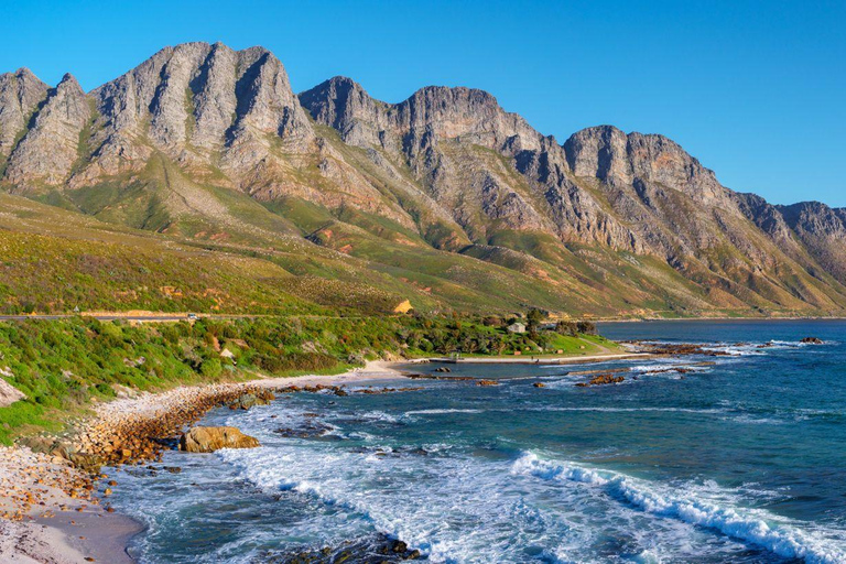From Cape Town: Hermanus Whale Watching Full Day Tour default