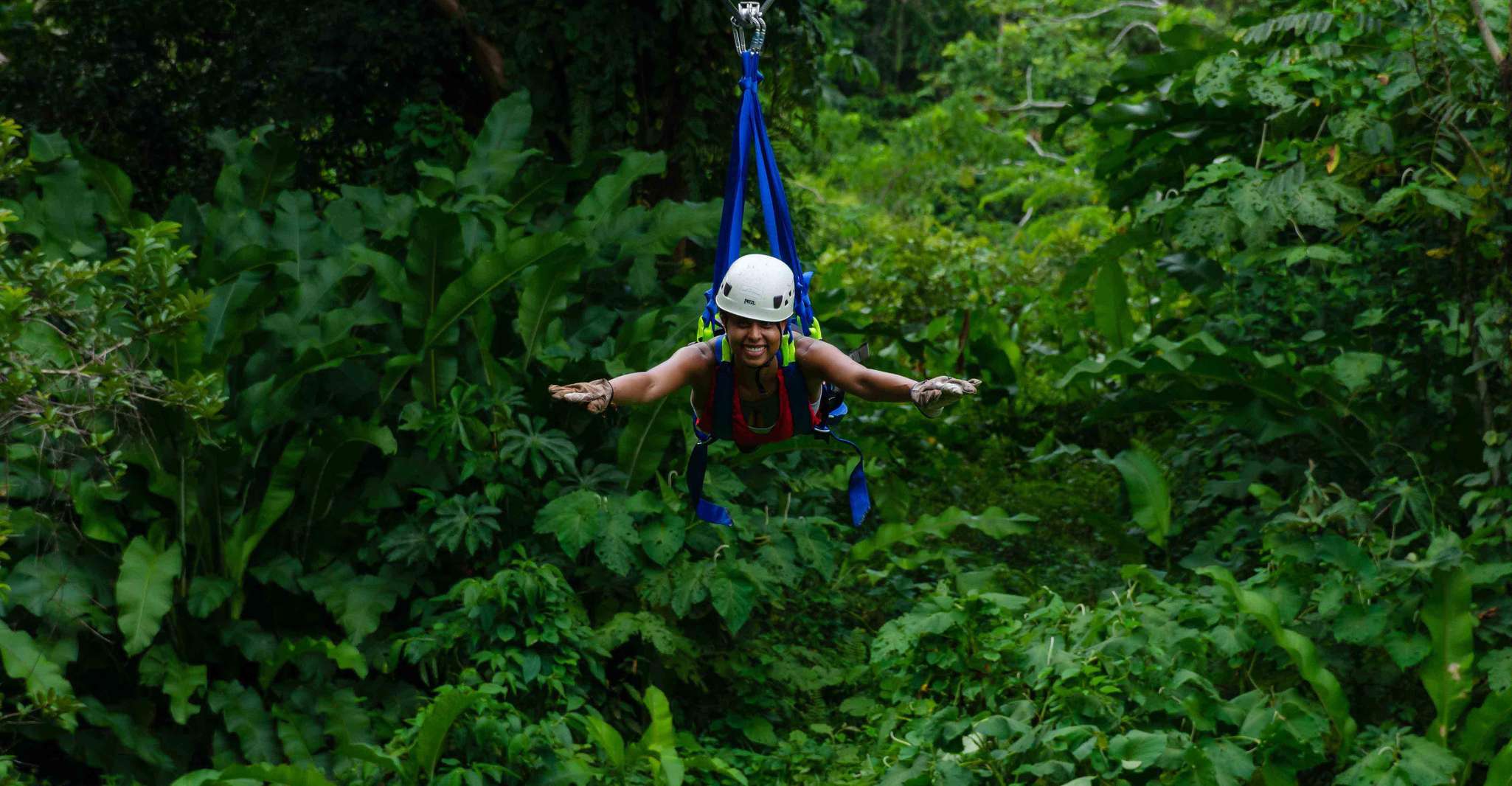 Puerto Viejo Limón, Best Canopy Tour / Ziplines - Housity