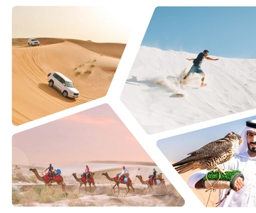 Doha: Dune Safari, Camel Ride, Sandboarding With Transfer