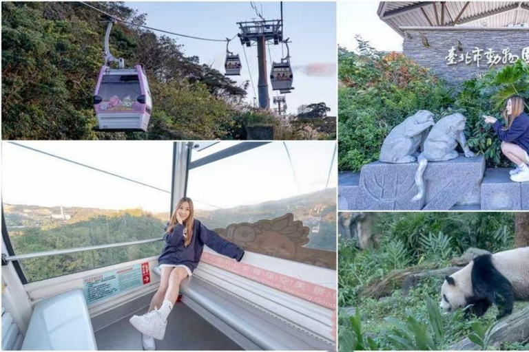 تايبيه: رحلة ليوم واحد إلى جندول ماوكونغ وحديقة الحيوانات ومدينة كيلونغرحلة مدتها 9 ساعات {سيارة عم