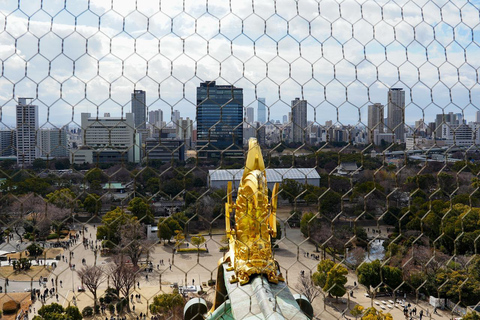 Excursión Privada de un Día a lo Más Destacado de Nara y Osaka