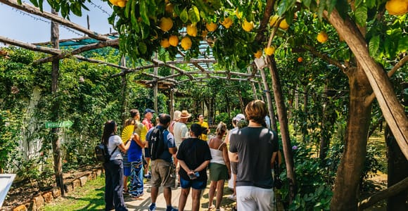 Sorrento Zitrone Tour