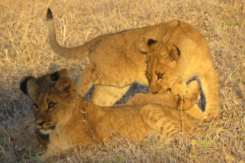 Zimbabwe: 7-Day Victoria Falls, Hwange & Matobo Tour