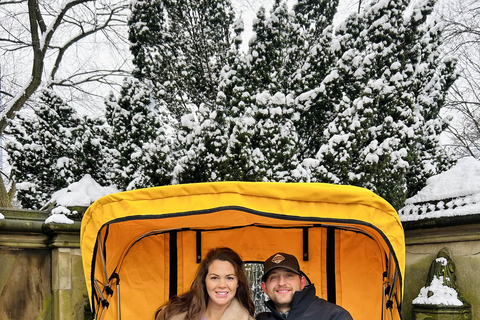 NYC: Home Alone 2 i Elf Tour w Central Parku