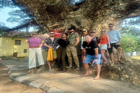 Kochi: Tuk-Tuk Tour with Pickup from Cruise Ships