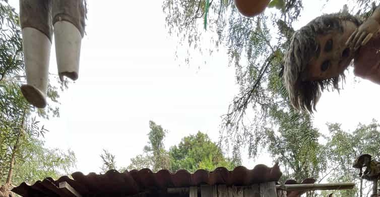 Xochimilco : Island of the dolls, tequila and mezcal CDMX photo 15