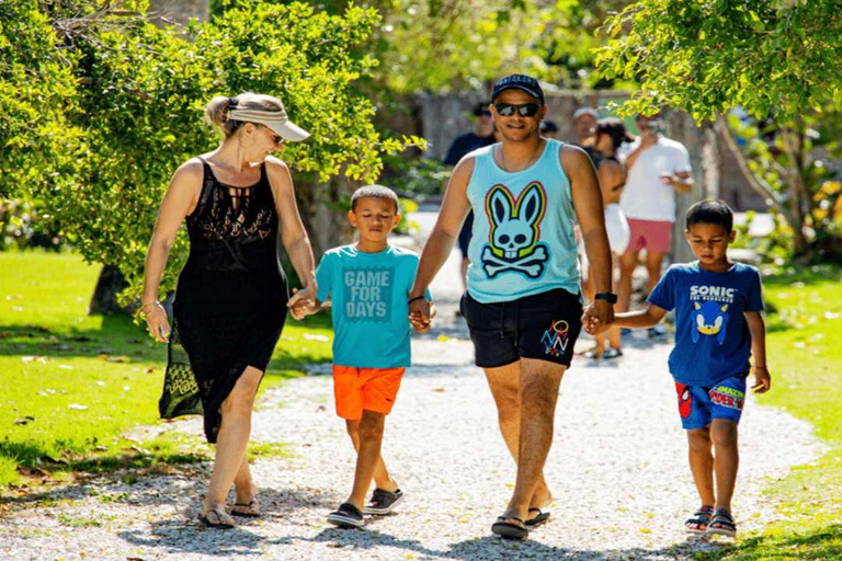 Punta Cana : visite d&#039;une jounée sur le chemin de l&#039;art et de la forêt avec déjeunerPunta Cana : visite d&#039;une jounée sur le thème de l&#039;art et de la forêt avec déjeuner