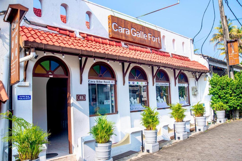 Galle: Private Colombo/Airport Transfer with Turtle Stop