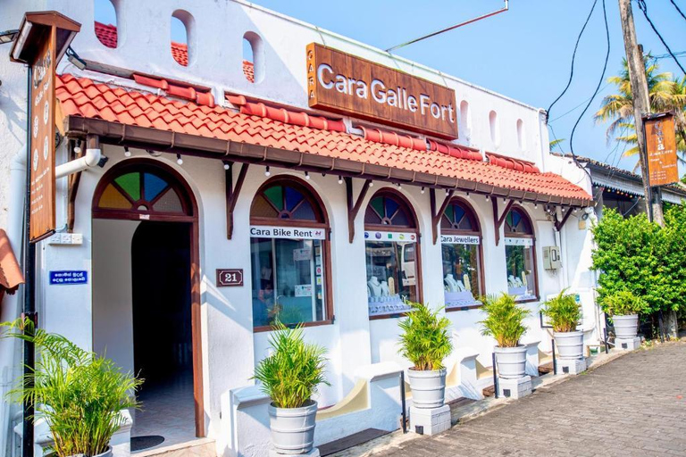 Galle: Private Colombo/Airport Transfer with Turtle Stop